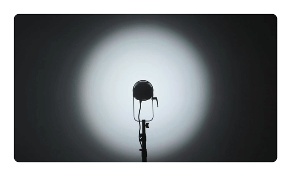 Aputure LS C300D II
